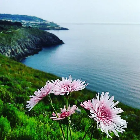 Athena Castro לינה וארוחת בוקר 3*